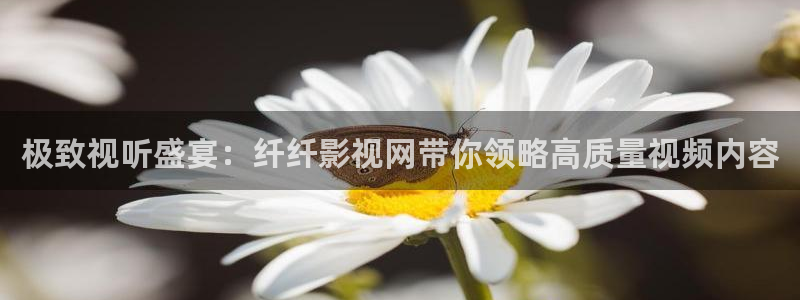 金牌影院最新高清电影