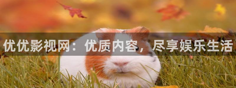 金牌影视官网