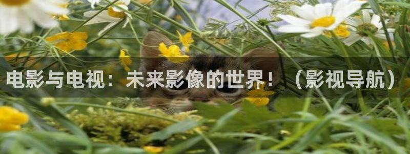 金牌影视剧大全：电影与电视：未来影像的世界！（影视导航）