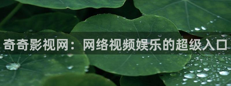 金牌特遣队电影免费观看