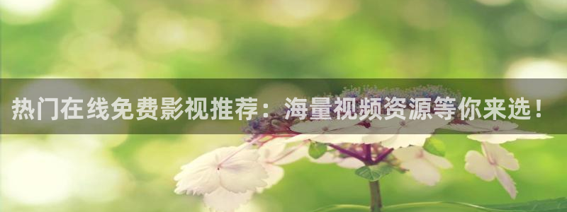 金牌女王电影完整版在线观看